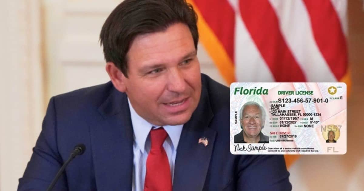 Oficial y confirmado en Florida | Miami, Orlando, Tampa y Jacksonville marcarán las licencias de conducir según el estatus de ciudadanía: cuándo entra en vigor la medida