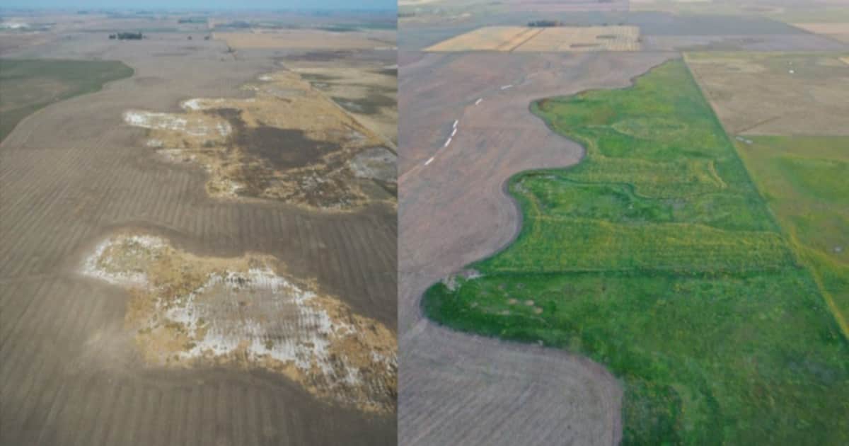 La FAO ante una nueva revolución agrícola