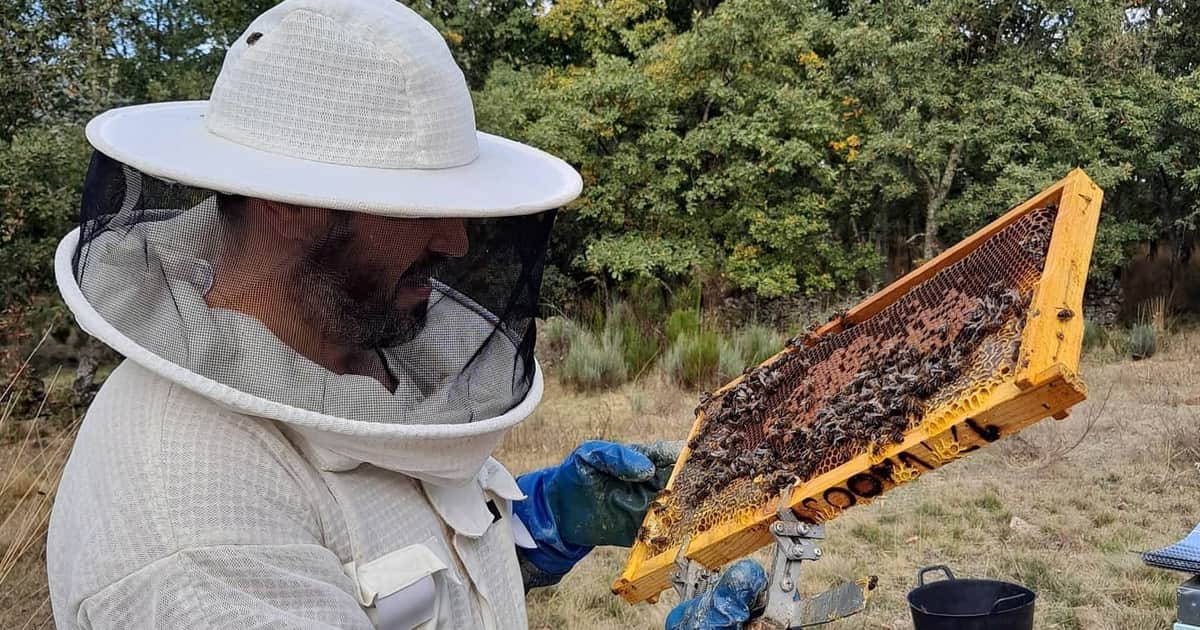 Francisco José González, 40 años, apicultor con 400 colmenas de abejas: "Vendo mi propia miel natural a precios que van de los 10 a los 12 euros"