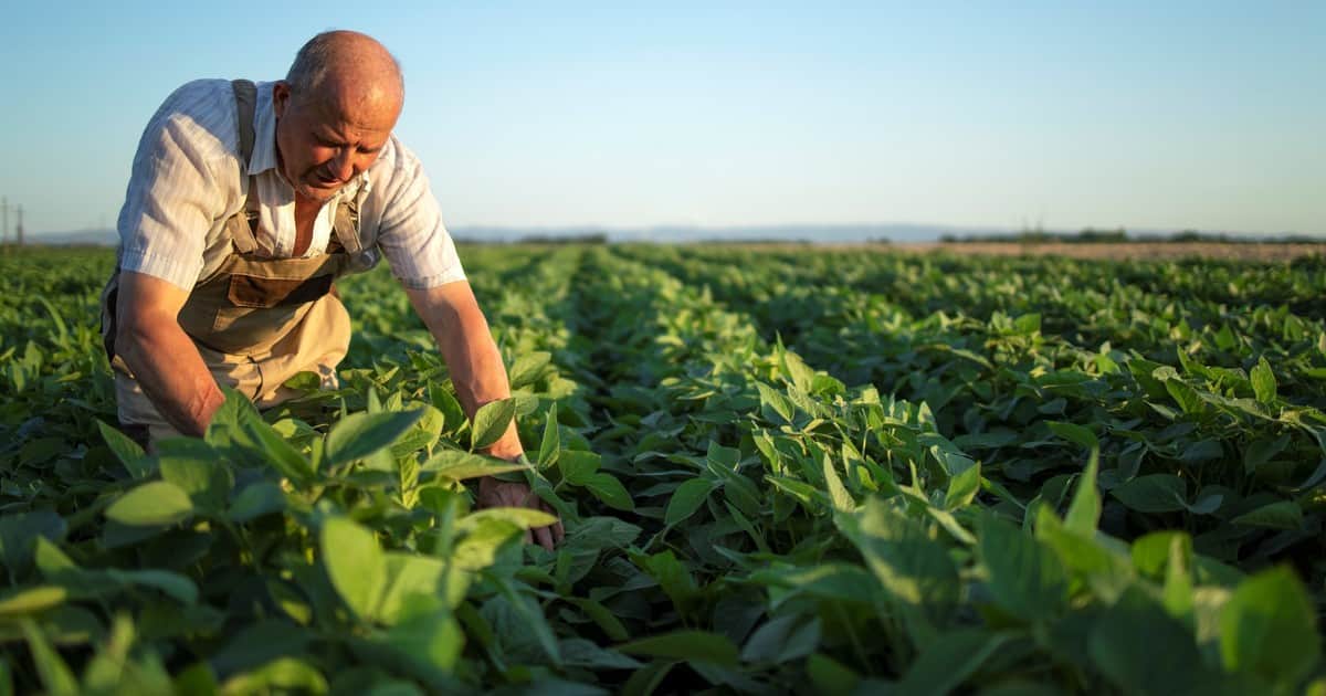 Un agricultor recuperó las 131 acres que su familia había perdido a lo largo de las décadas; en 2026, vendió los derechos de desarrollo para que el terreno nunca pueda ser dividido para la construcción de viviendas
