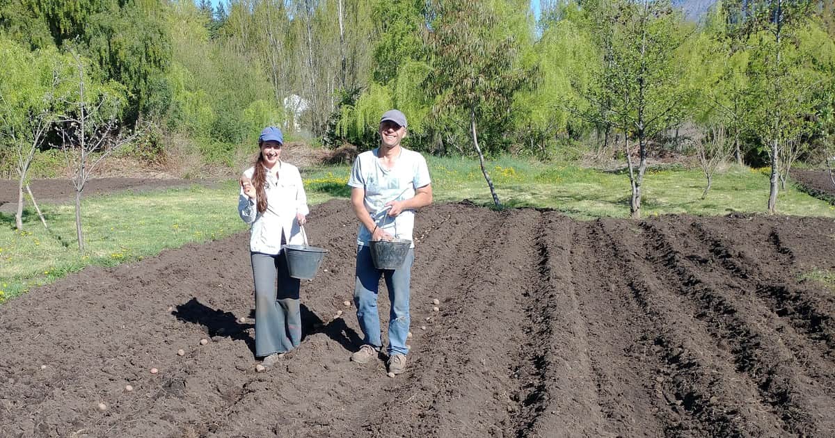 La pareja que apuesta a la producción de maquinaria agrícola y semillas florales en la Comarca Andina