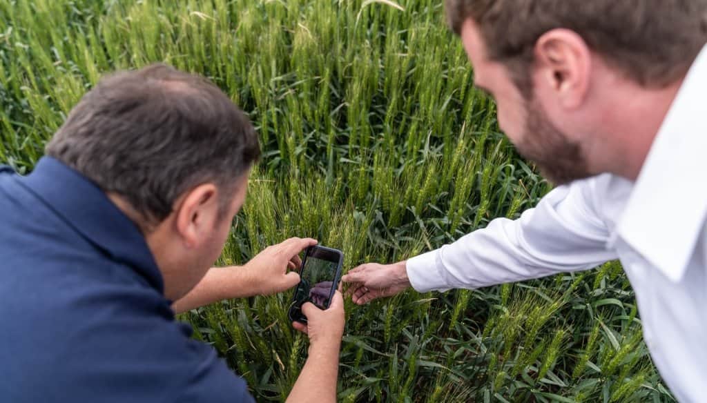 Capital agtech: llega a Río Cuarto la primera empresa extranjera que testeará tecnología en campos “reales”
