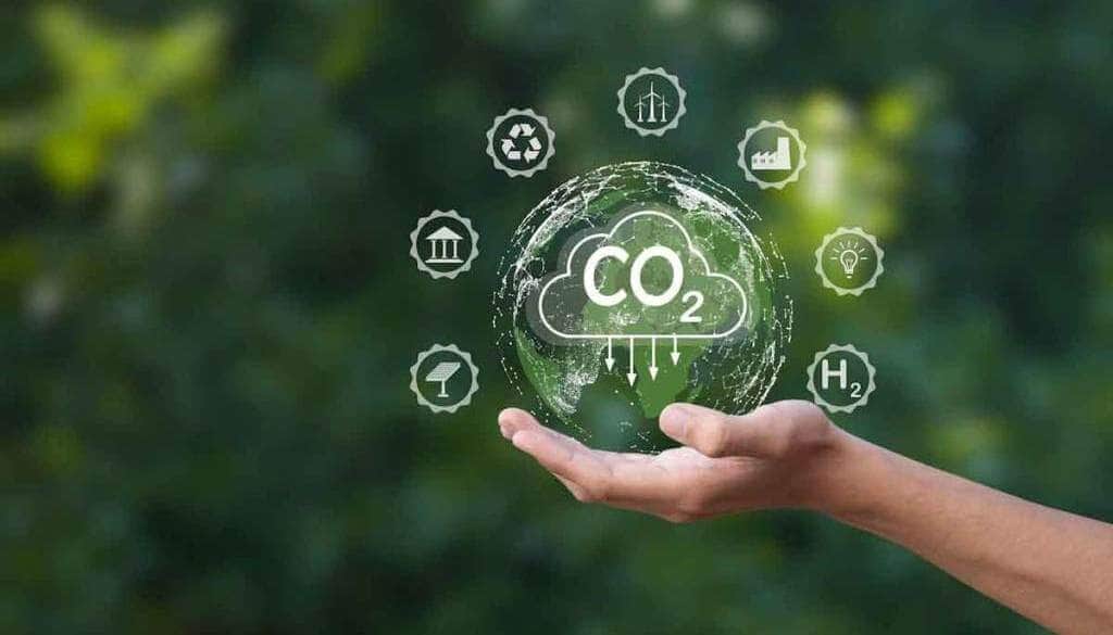 El agro presiona por la ley del mercado de carbono: podría atraer inversiones por U$S 2.000 millones