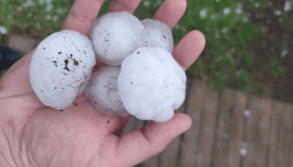 ¿Llegó El Niño?: más de la mitad de las provincias están bajo alerta meteorológica por tormentas