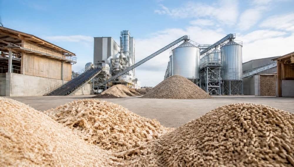 Energía forestal: los pellets de madera, un insumo con potencial para crecer en la agroindustria