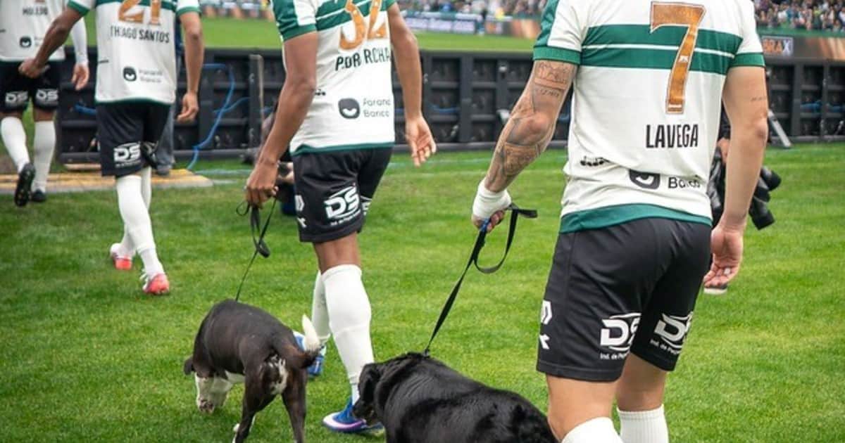 La emotiva iniciativa que tomó Coritiba con perros rescatados antes de un partido