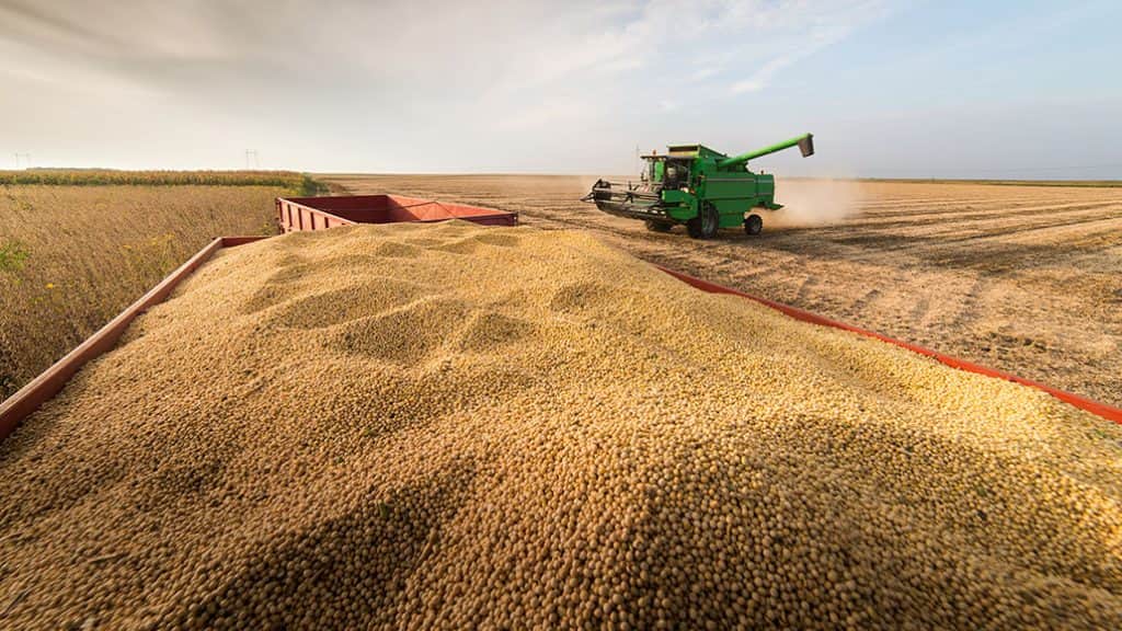 Mejora la renta agrícola gracias a la baja de insumos y la suba en el precio de los granos