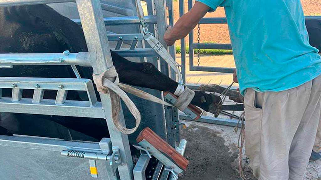 “Dejemos de ir detrás de la vaca renga, trabajemos en prevención”